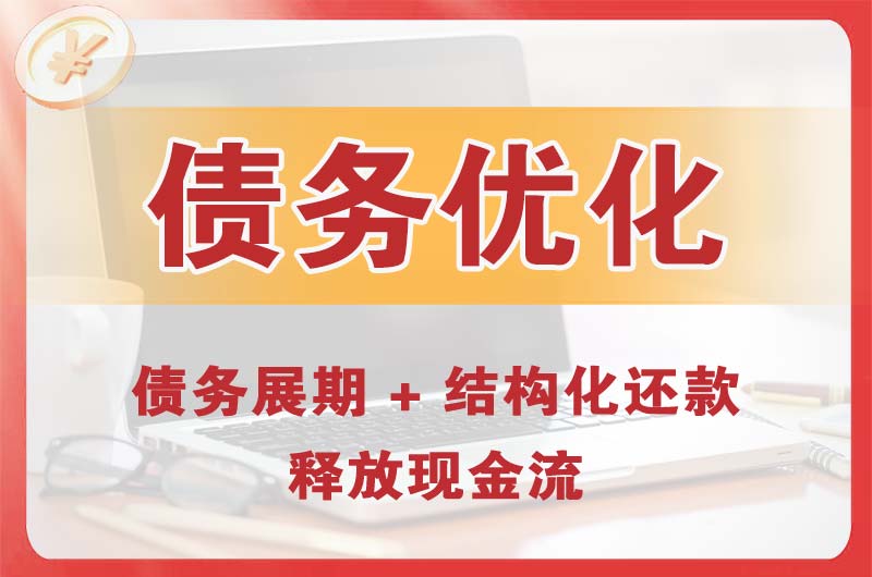 神木债务优化